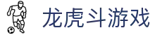 龙虎斗游戏 - 专注经典策略竞技与公平发牌环境的棋牌中心